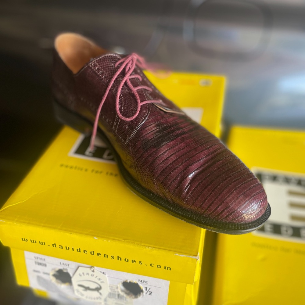 David Eden- men’s shoes size 12